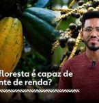 Como a floresta é capaz de gerar fonte de renda?