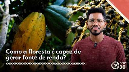 Como a floresta é capaz de gerar fonte de renda?