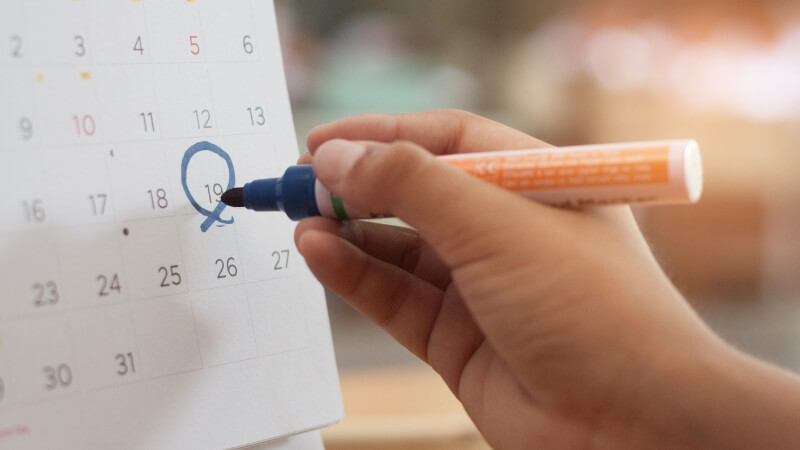 COP 30 em Belém: Novembro terá feriados, recesso, férias e home office