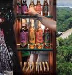 Banho de cheiro, cacau selvagem, açaí do pé: como a COP 30 coloca Belém no mapa do turismo sustentável