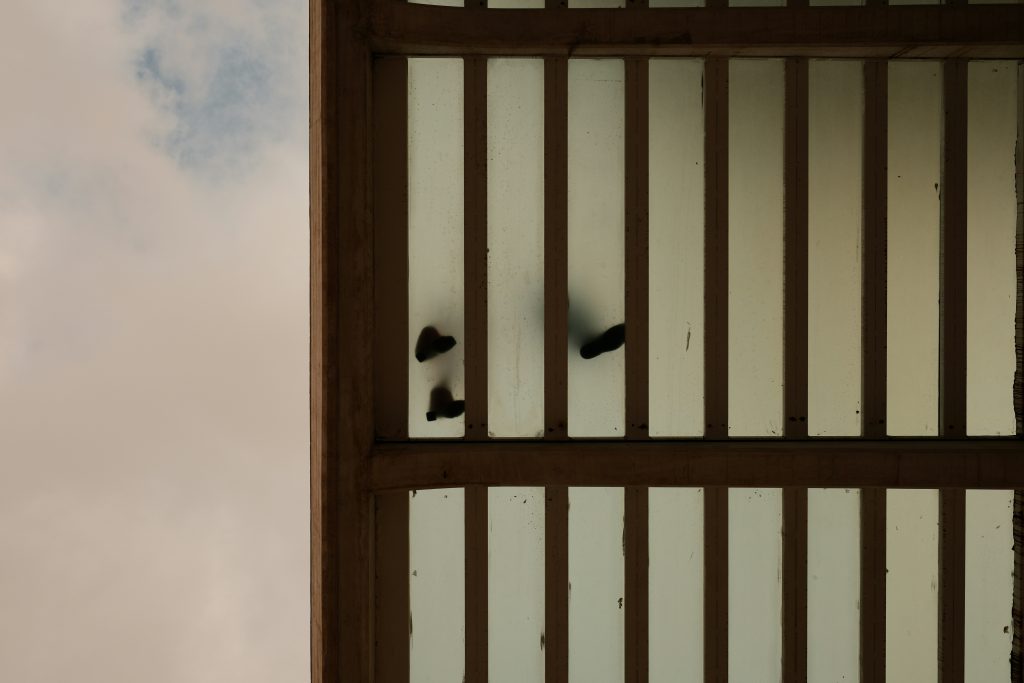 Paraense é preso suspeito de aplicar golpe do falso imóvel na COP 30