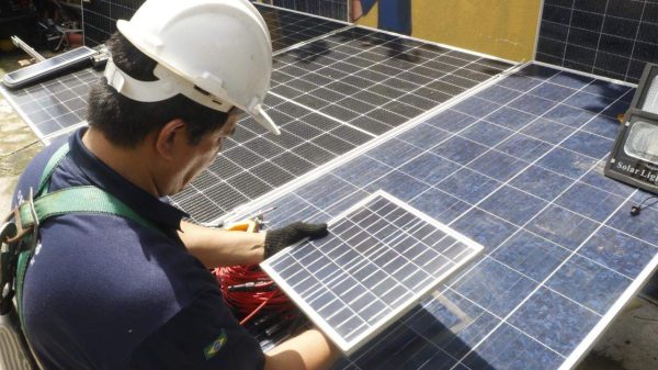 Efeito COP: procura por qualificação para 'empregos verdes' cresceu 288% no Pará