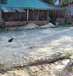 Homem é preso suspeito de atear fogo na companheira em Salinópolis, no Pará