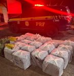 Incensos mata-mosquito com venda proibida no Brasil são apreendidos na BR-316, na Grande Belém