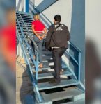 Mulher condenada por rouba é presa na Alça Viária após condenação definitiva