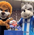 Re-Pa: Paysandu fatura mais, Remo lidera público com gratuidades