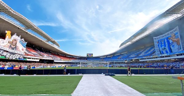 Remo x Paysandu: números, protagonistas e caminhos até a final
