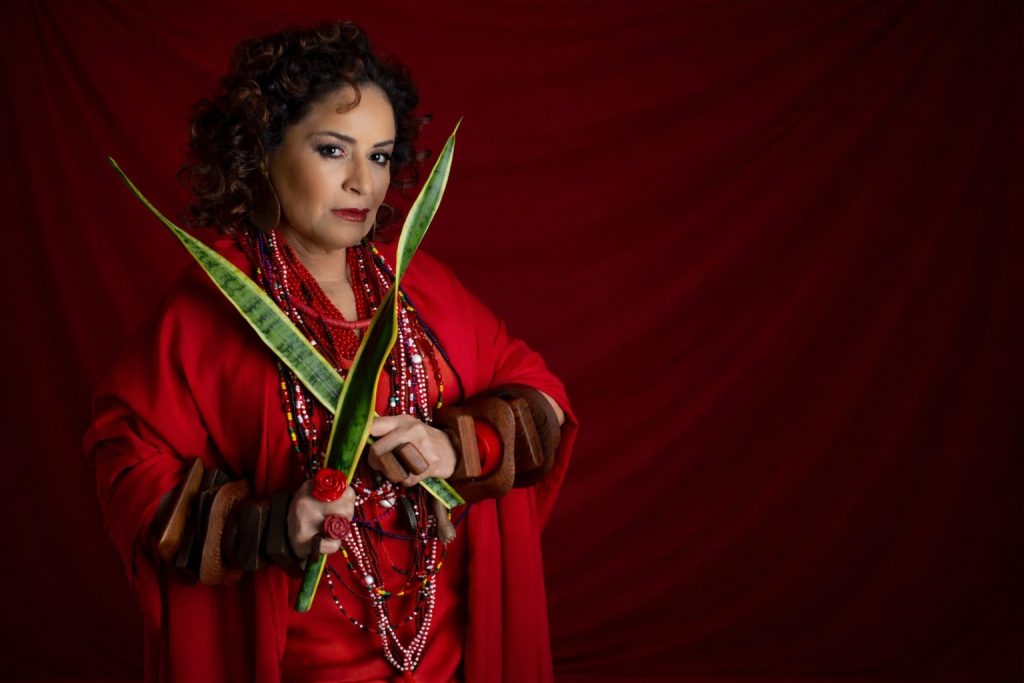 Alba Mariah celebra 60 anos com show 'Temporal' no Theatro da Paz, em Belém