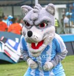 Paysandu encara a Portuguesa-SP na nova fase da Copa do Brasil