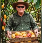 Pará celebra o Dia do Cacau como potência nacional