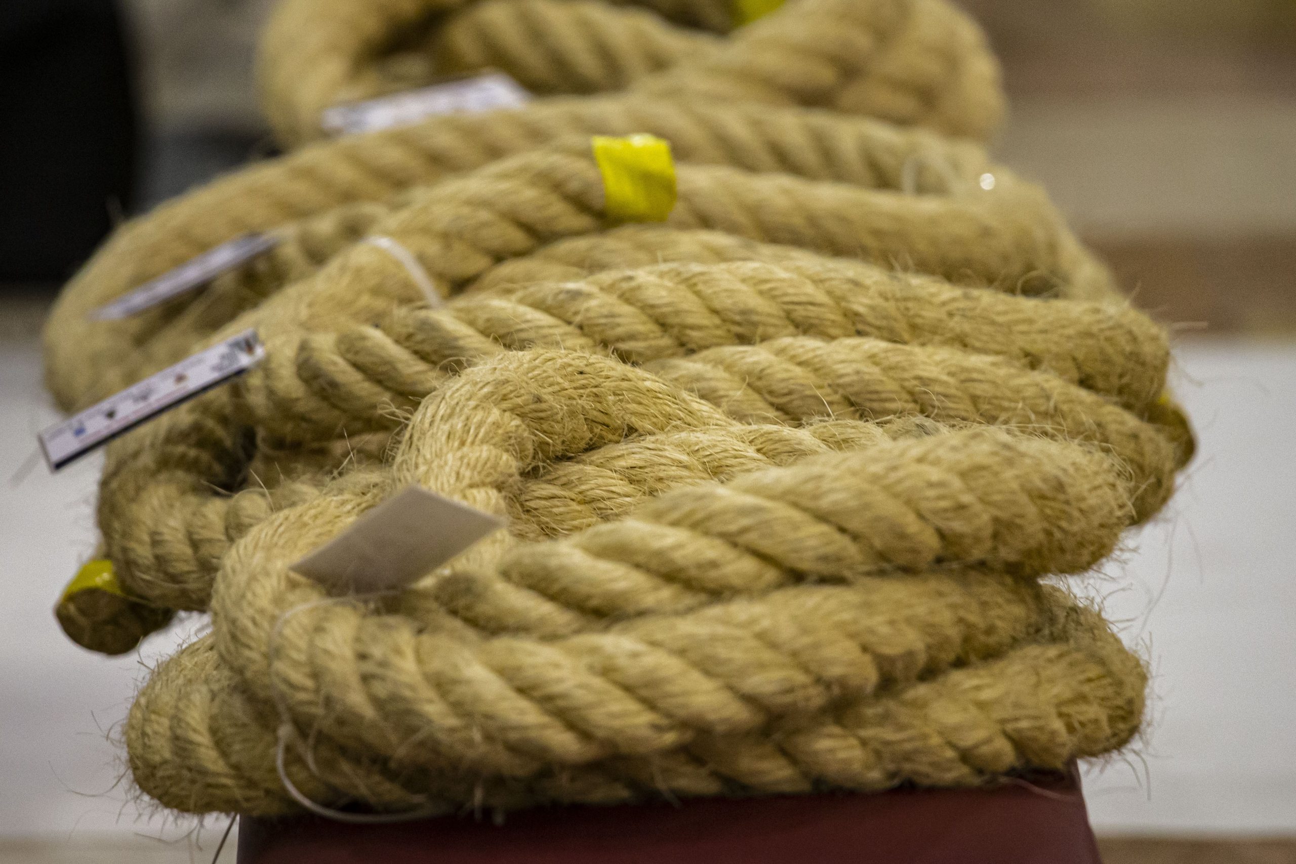 Círio 2026: Corda será produzida novamente em Castanhal, no Pará