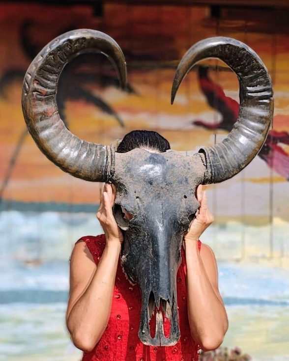 Exposição 'Amazônidas' chega a Belém após temporada no Rio de Janeiro