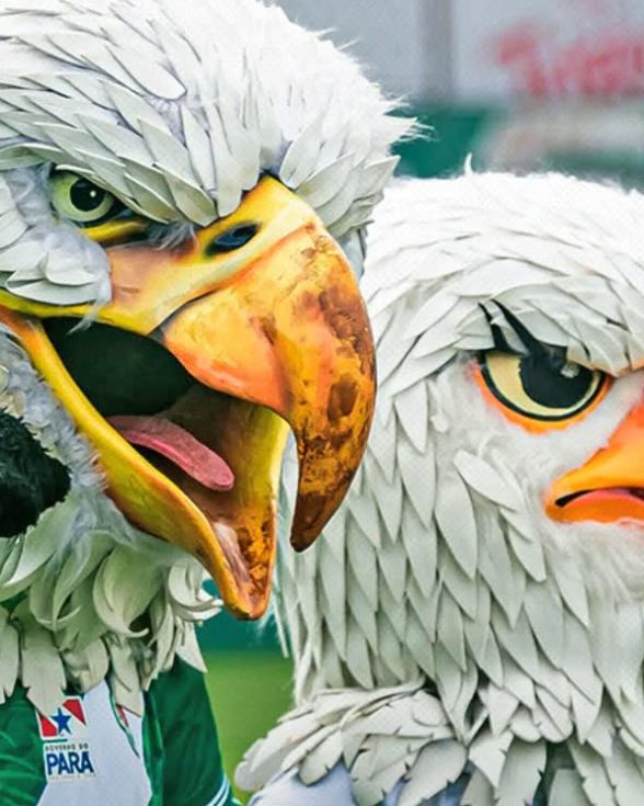 Águia e Tuna seguem briga no G-4 da Série D