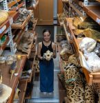 Museu Goeldi, em Belém, abriga uma das maiores coleções de mamíferos da América do Sul, com quase 47 mil espécimes
